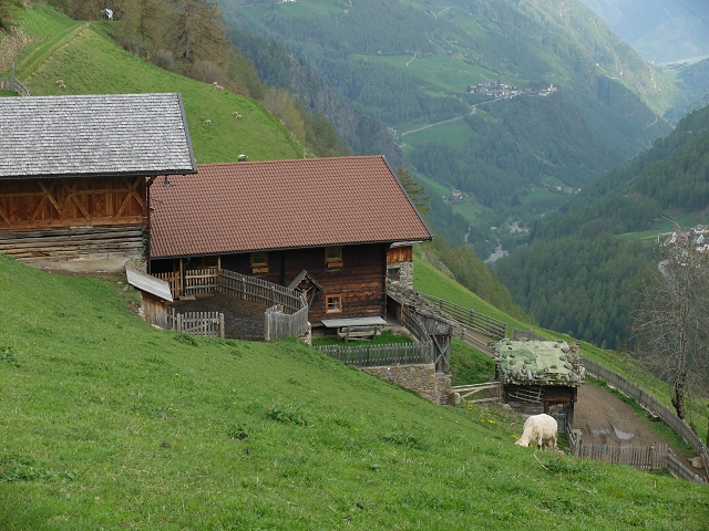 talblick